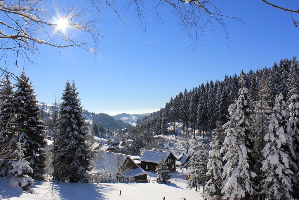 Apartmán Ferienhaus Anno Dazumal, Wie Zu Oma'S Zeiten Klingenthal Exteriér fotografie